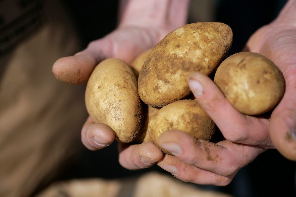 From the Farm – Autumn