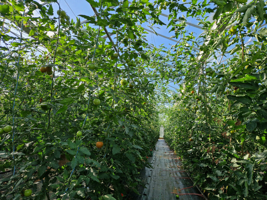 SFH on Tour – Virginia Nurseries