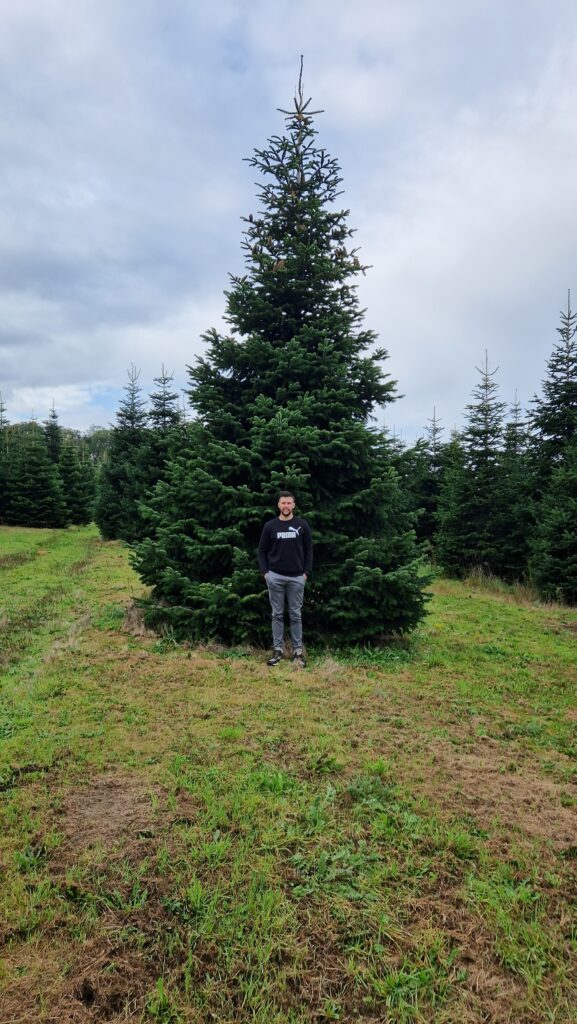 SFH on tour – Red House Christmas Barn