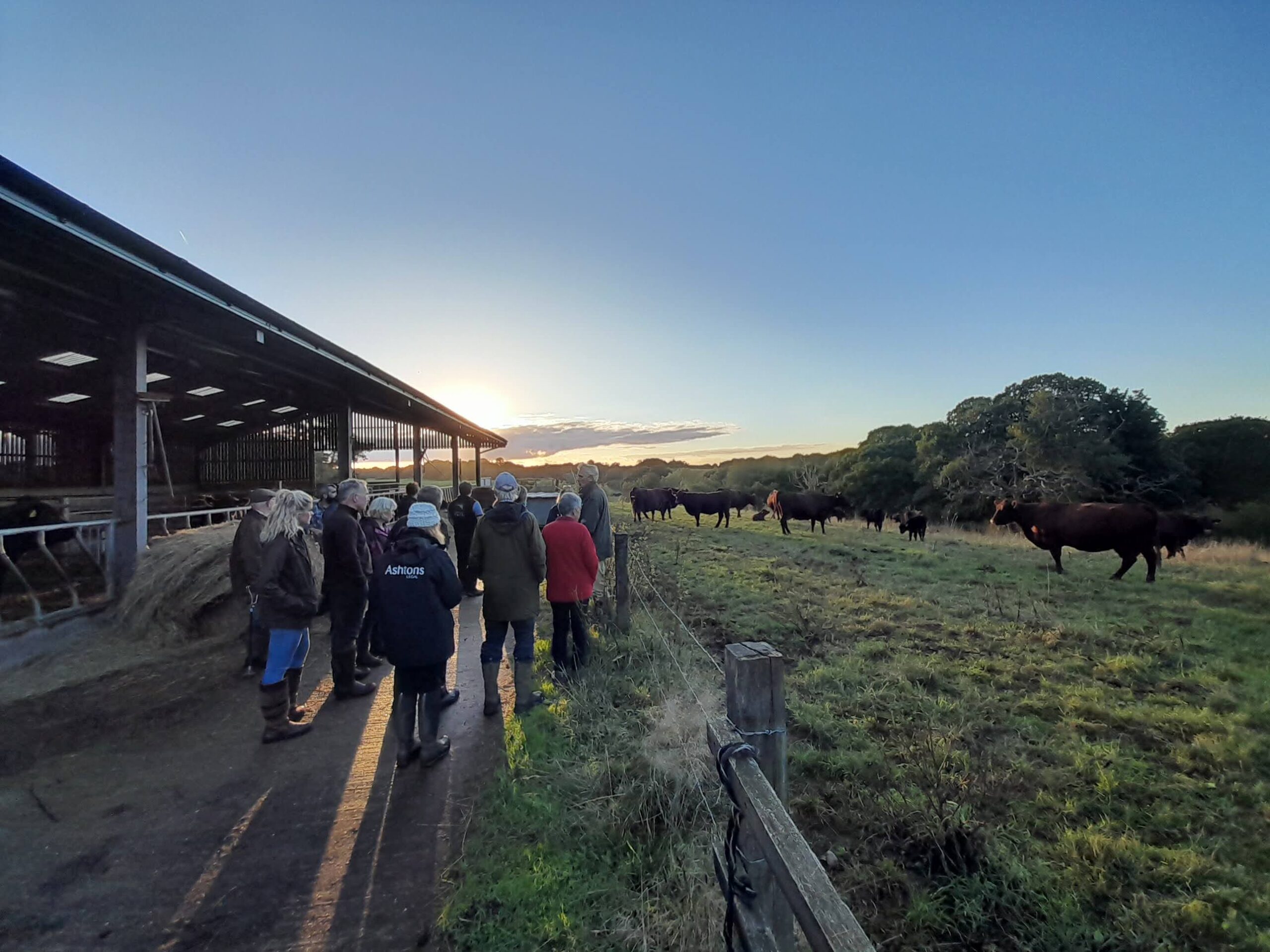 Food Hall farm scoops top Suffolk conservation award