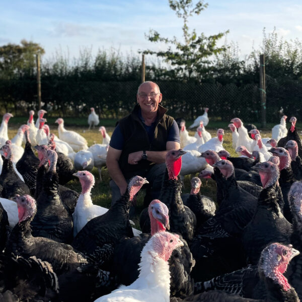 A man kneels among a flock of Free Range Bronze Turkeys outdoors.