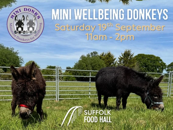 Miniature Donkeys for Wellbeing Visit – 19th September