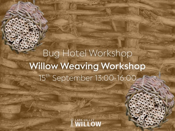 Willow Workshop – 15th September PM