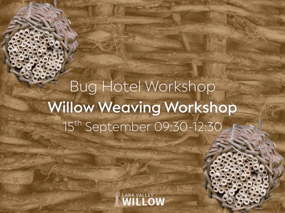 Willow Workshop – 15th September AM