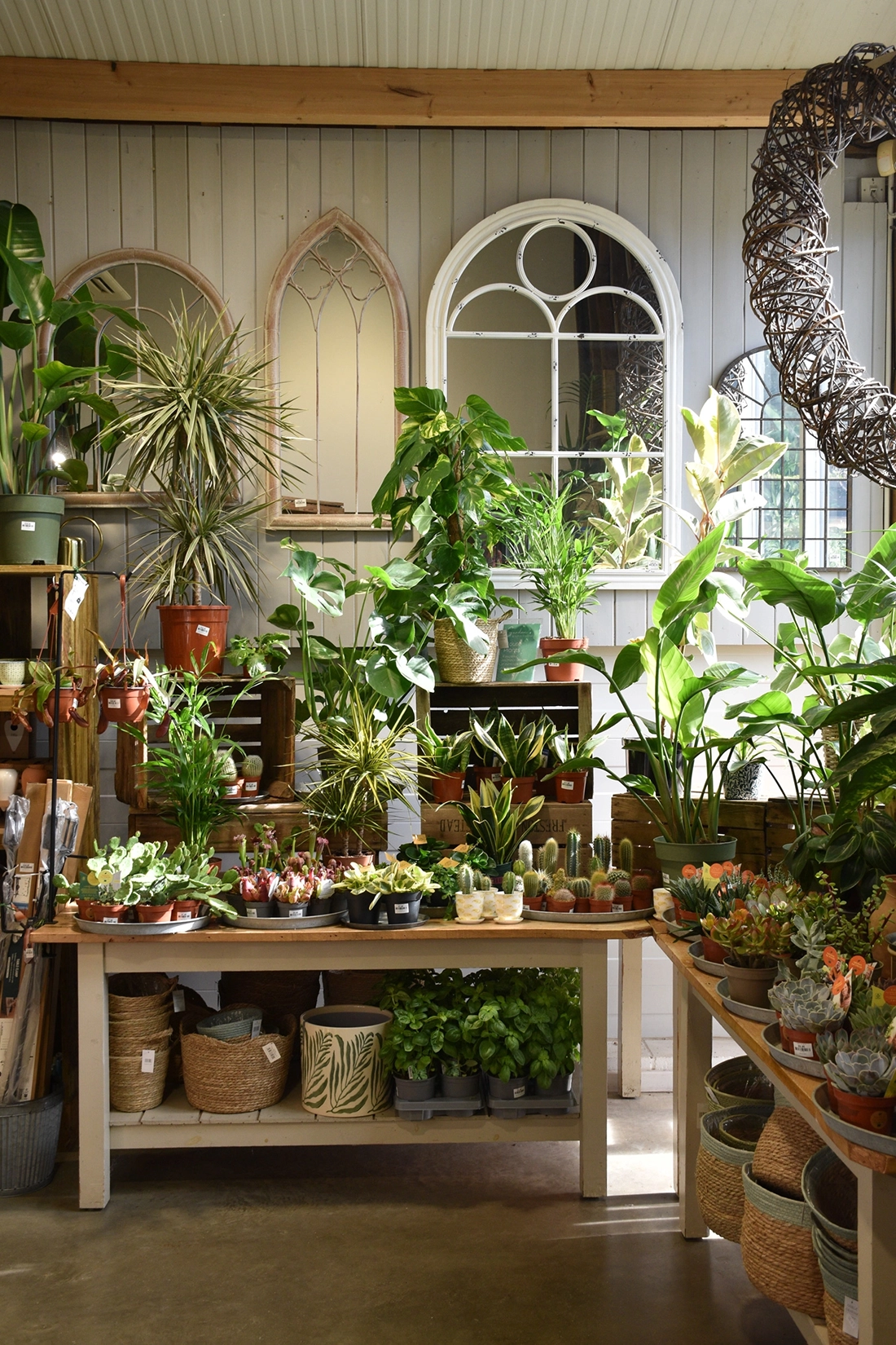 Plants for sale at Suffolk Food Hall