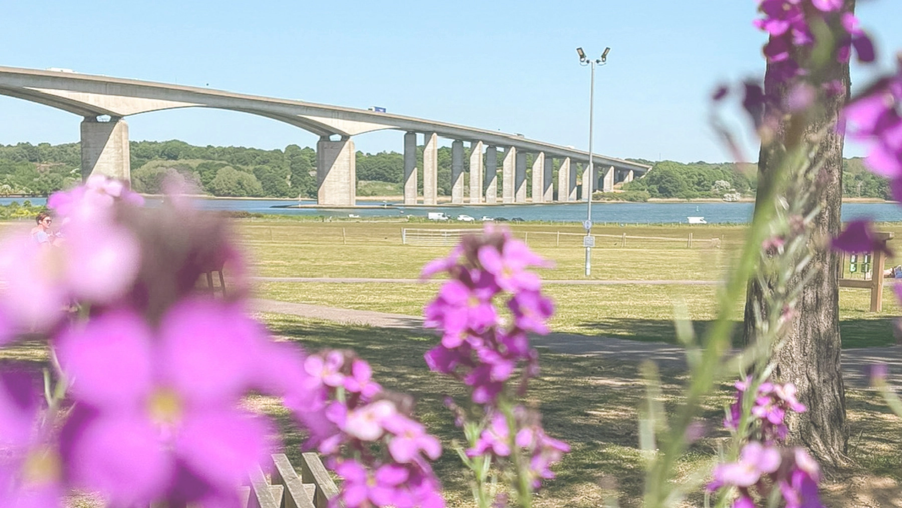 The Orwell Bridge as viewed from Suffolk Food Hall
