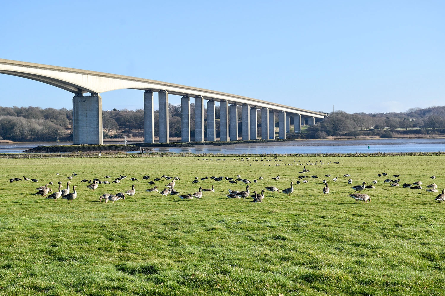 View of the Orwell Bridge from Suffolk Food Hall