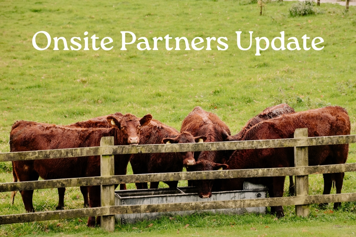 August Update from our Partners