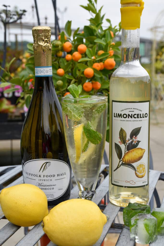 Limoncello Fizz