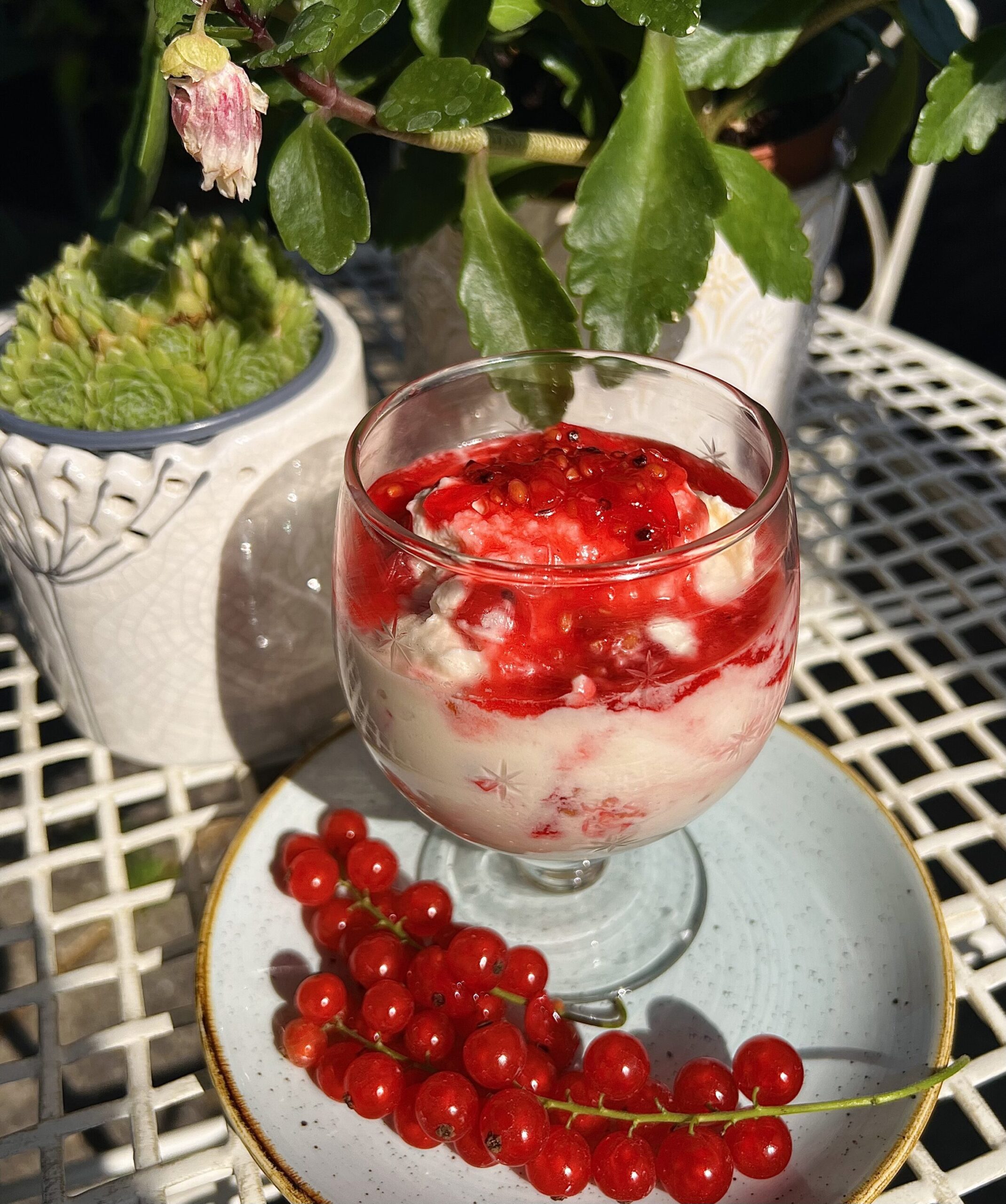 Redcurrant Fool